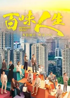 热播电视剧全集《雾港回声》